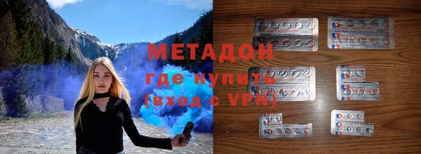 индика Пестово
