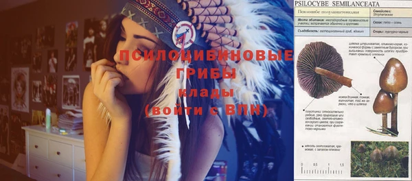ешки Осинники