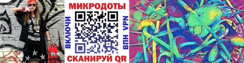 купить закладку  Краснослободск  Галлюциногенные грибы прущие грибы 